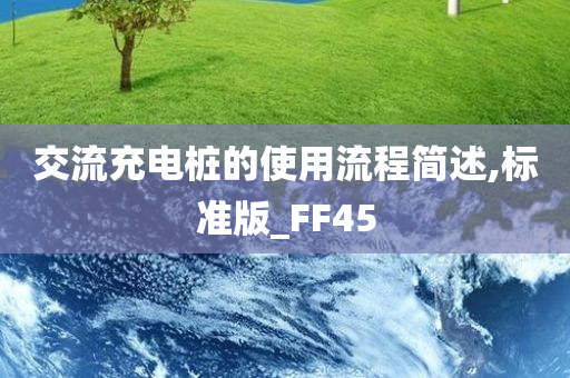 交流充电桩的使用流程简述,标准版_FF45