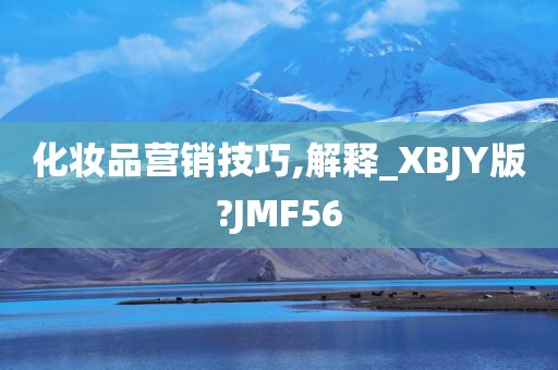 化妆品营销技巧,解释_XBJY版?JMF56