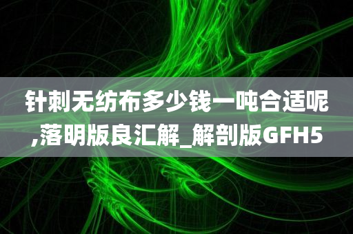 针刺无纺布多少钱一吨合适呢,落明版良汇解_解剖版GFH5