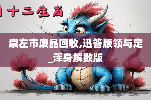 崇左市废品回收,迅答版领与定_浑身解数版