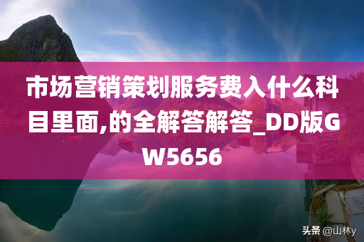 市场营销策划服务费入什么科目里面,的全解答解答_DD版GW5656