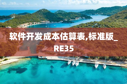 软件开发成本估算表,标准版_RE35