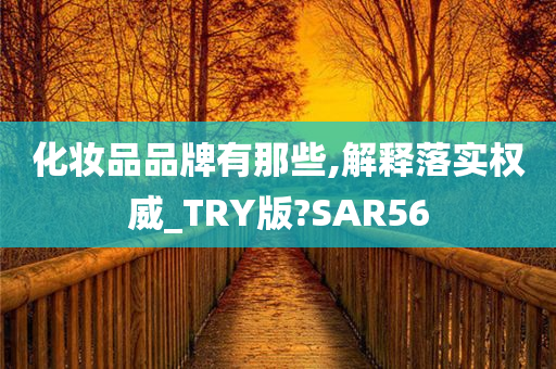 化妆品品牌有那些,解释落实权威_TRY版?SAR56