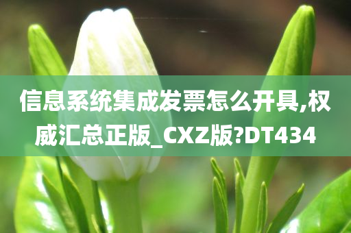 信息系统集成发票怎么开具,权威汇总正版_CXZ版?DT434