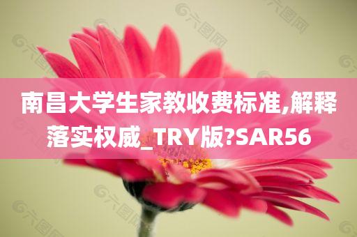 南昌大学生家教收费标准,解释落实权威_TRY版?SAR56