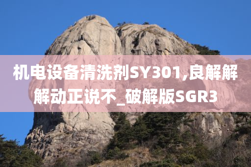 机电设备清洗剂SY301,良解解解动正说不_破解版SGR3