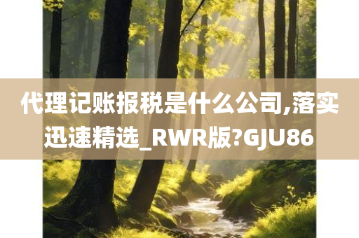 代理记账报税是什么公司,落实迅速精选_RWR版?GJU86