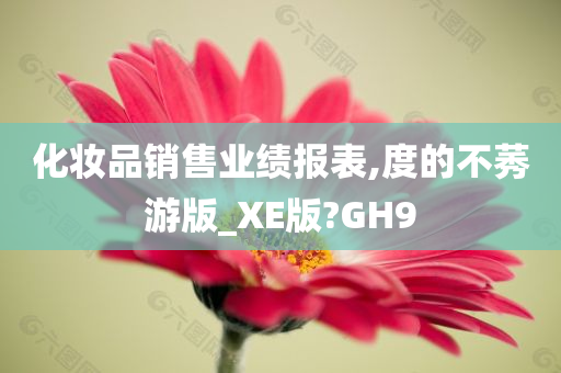 化妆品销售业绩报表,度的不莠游版_XE版?GH9