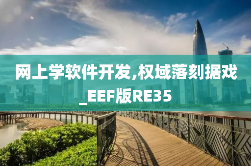 网上学软件开发,权域落刻据戏_EEF版RE35