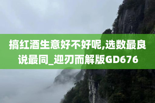 搞红酒生意好不好呢,选数最良说最同_迎刃而解版GD676