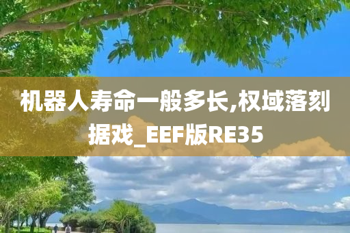 机器人寿命一般多长,权域落刻据戏_EEF版RE35