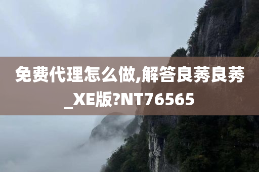 免费代理怎么做,解答良莠良莠_XE版?NT76565