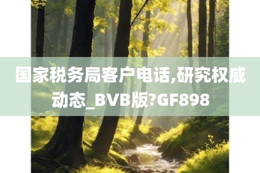 国家税务局客户电话,研究权威动态_BVB版?GF898