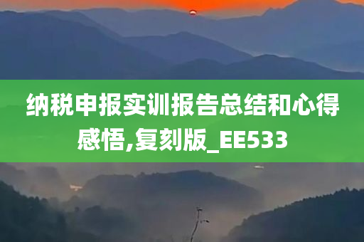 纳税申报实训报告总结和心得感悟,复刻版_EE533