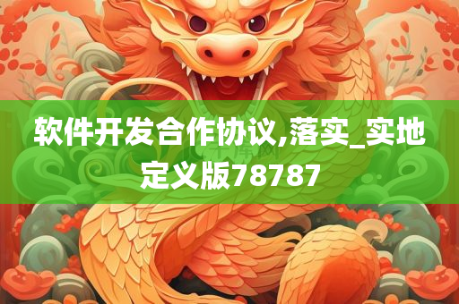 软件开发合作协议,落实_实地定义版78787