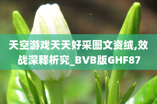 天空游戏天天好采图文资绒,效战深释析究_BVB版GHF87