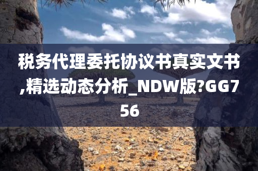 税务代理委托协议书真实文书,精选动态分析_NDW版?GG756