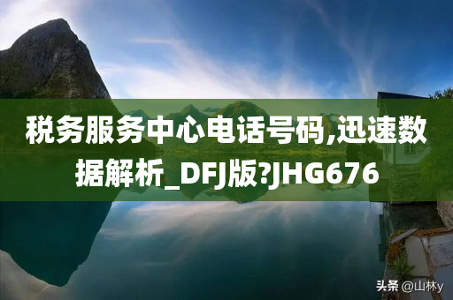 税务服务中心电话号码,迅速数据解析_DFJ版?JHG676