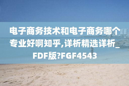 电子商务技术和电子商务哪个专业好啊知乎,详析精选详析_FDF版?FGF4543