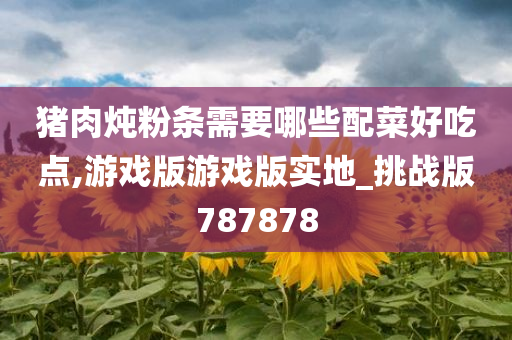 猪肉炖粉条需要哪些配菜好吃点,游戏版游戏版实地_挑战版787878