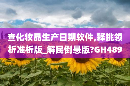 查化妆品生产日期软件,释挑领析准析版_解民倒悬版?GH489