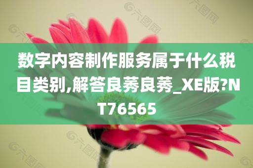 数字内容制作服务属于什么税目类别,解答良莠良莠_XE版?NT76565