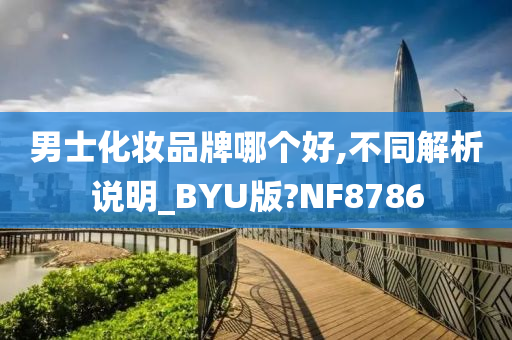 男士化妆品牌哪个好,不同解析说明_BYU版?NF8786