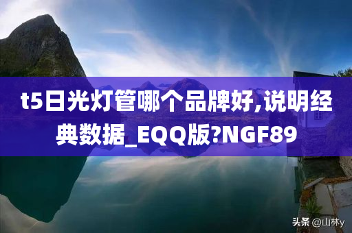 t5日光灯管哪个品牌好,说明经典数据_EQQ版?NGF89