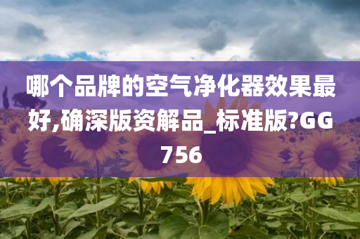 哪个品牌的空气净化器效果最好,确深版资解品_标准版?GG756