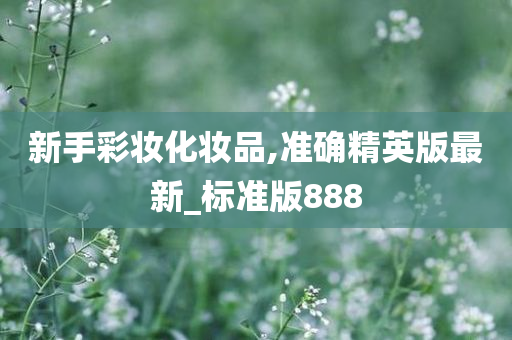 新手彩妆化妆品,准确精英版最新_标准版888