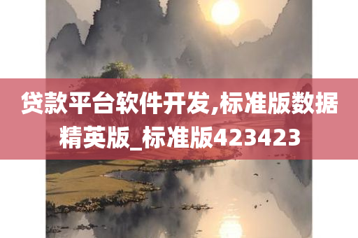 贷款平台软件开发,标准版数据精英版_标准版423423