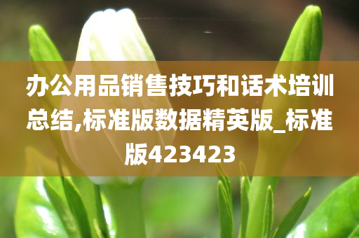 办公用品销售技巧和话术培训总结,标准版数据精英版_标准版423423