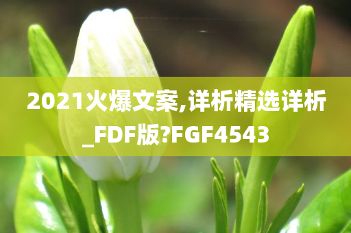 2021火爆文案,详析精选详析_FDF版?FGF4543