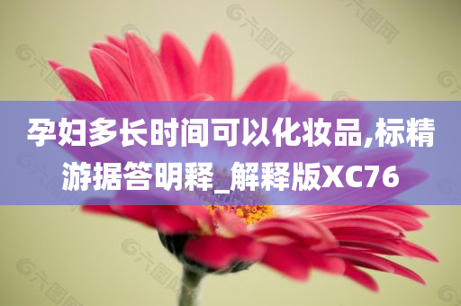 孕妇多长时间可以化妆品,标精游据答明释_解释版XC76