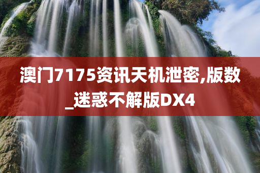 澳门7175资讯天机泄密,版数_迷惑不解版DX4