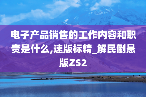 电子产品销售的工作内容和职责是什么,速版标精_解民倒悬版ZS2