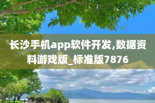 长沙手机app软件开发,数据资料游戏版_标准版7876