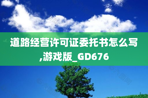 道路经营许可证委托书怎么写,游戏版_GD676