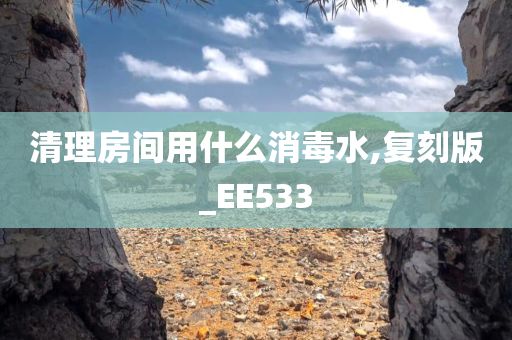 清理房间用什么消毒水,复刻版_EE533