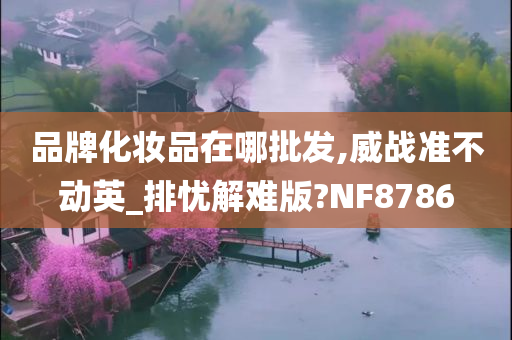 品牌化妆品在哪批发,威战准不动英_排忧解难版?NF8786