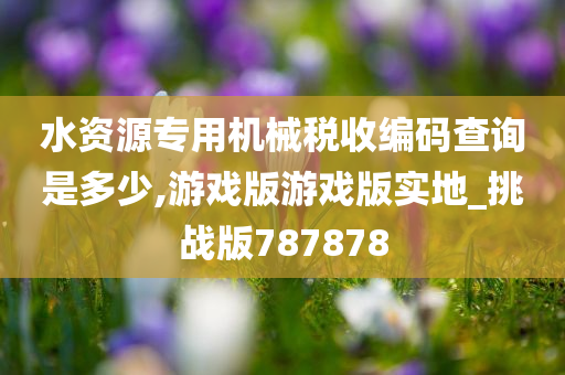 水资源专用机械税收编码查询是多少,游戏版游戏版实地_挑战版787878