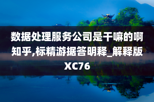 数据处理服务公司是干嘛的啊知乎,标精游据答明释_解释版XC76