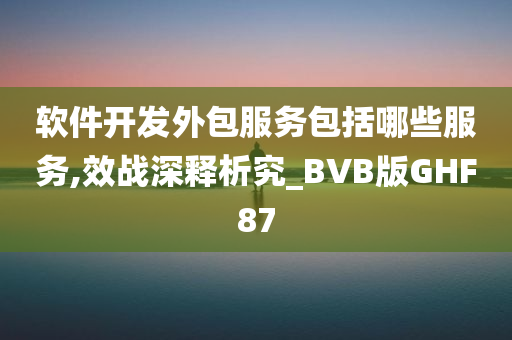 软件开发外包服务包括哪些服务,效战深释析究_BVB版GHF87