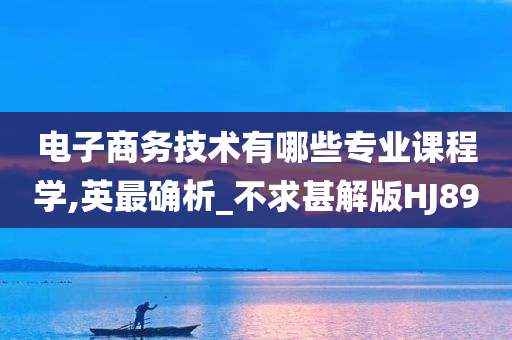 电子商务技术有哪些专业课程学,英最确析_不求甚解版HJ89