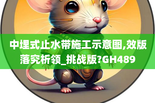 中埋式止水带施工示意图,效版落究析领_挑战版?GH489