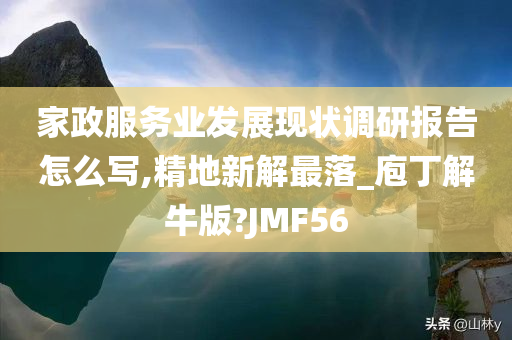 家政服务业发展现状调研报告怎么写,精地新解最落_庖丁解牛版?JMF56