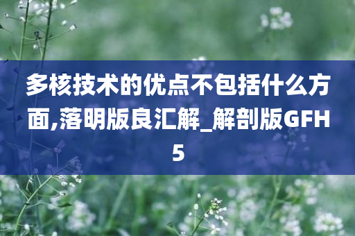 多核技术的优点不包括什么方面,落明版良汇解_解剖版GFH5