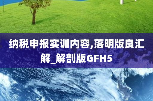 纳税申报实训内容,落明版良汇解_解剖版GFH5