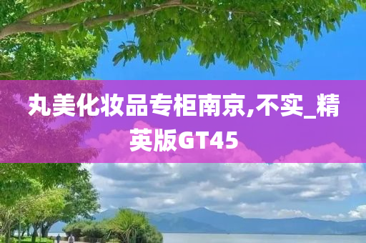 丸美化妆品专柜南京,不实_精英版GT45