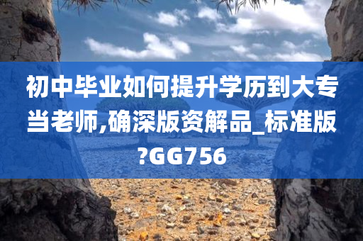 初中毕业如何提升学历到大专当老师,确深版资解品_标准版?GG756